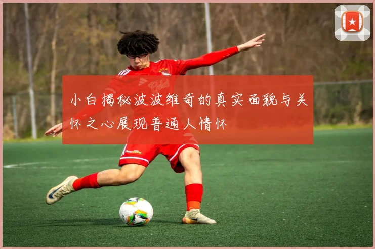 小白揭秘波波维奇的真实面貌与关怀之心展现普通人情怀