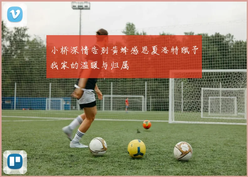 小桥深情告别黄蜂感恩夏洛特赋予我家的温暖与归属