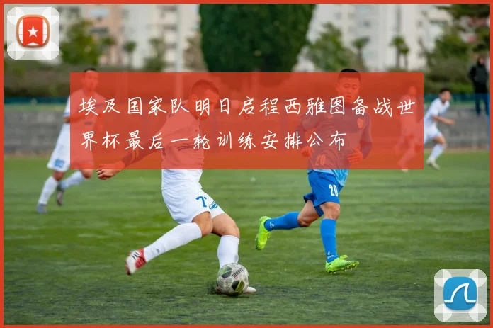 埃及国家队明日启程西雅图备战世界杯最后一轮训练安排公布