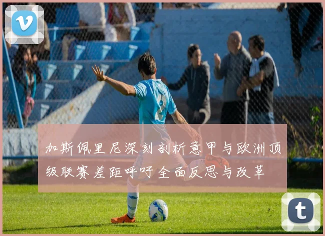 加斯佩里尼深刻剖析意甲与欧洲顶级联赛差距呼吁全面反思与改革
